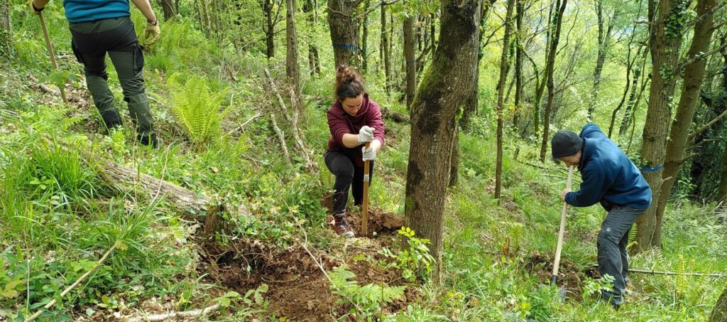 Gestión del territorio y trabajos en el medio natural en Ultzama