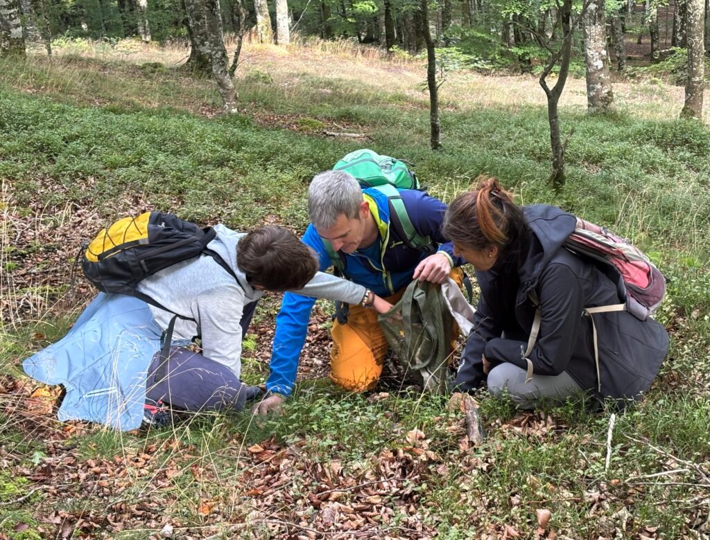 Grupo observando setas durante una ruta micológica guiada en Ultzama