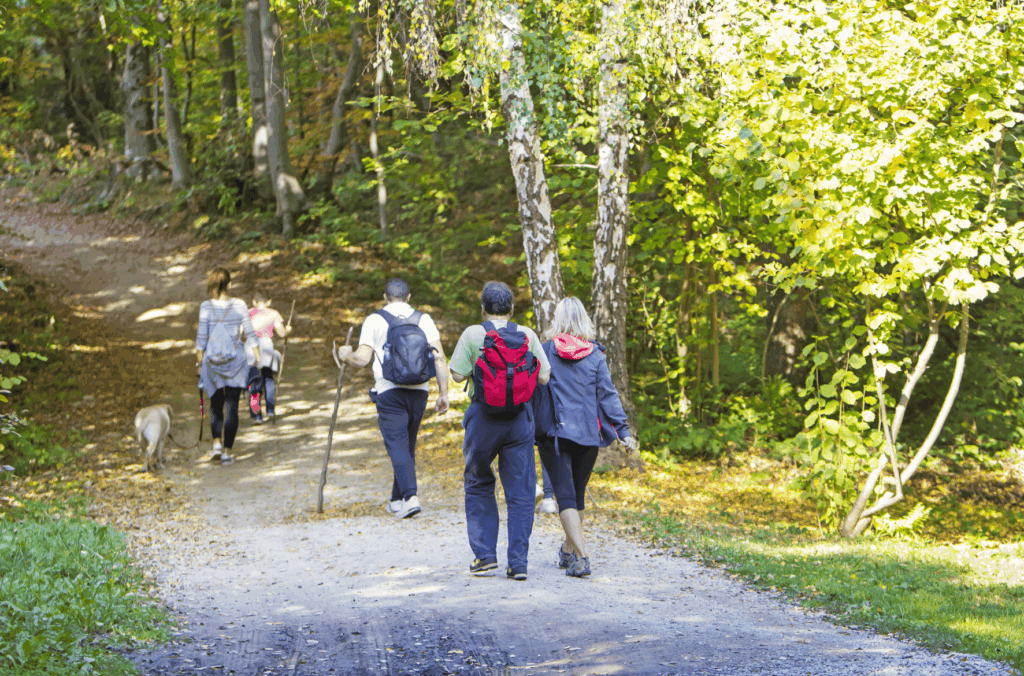 Participantes caminando por un sendero durante una actividad de senderismo interpretativo