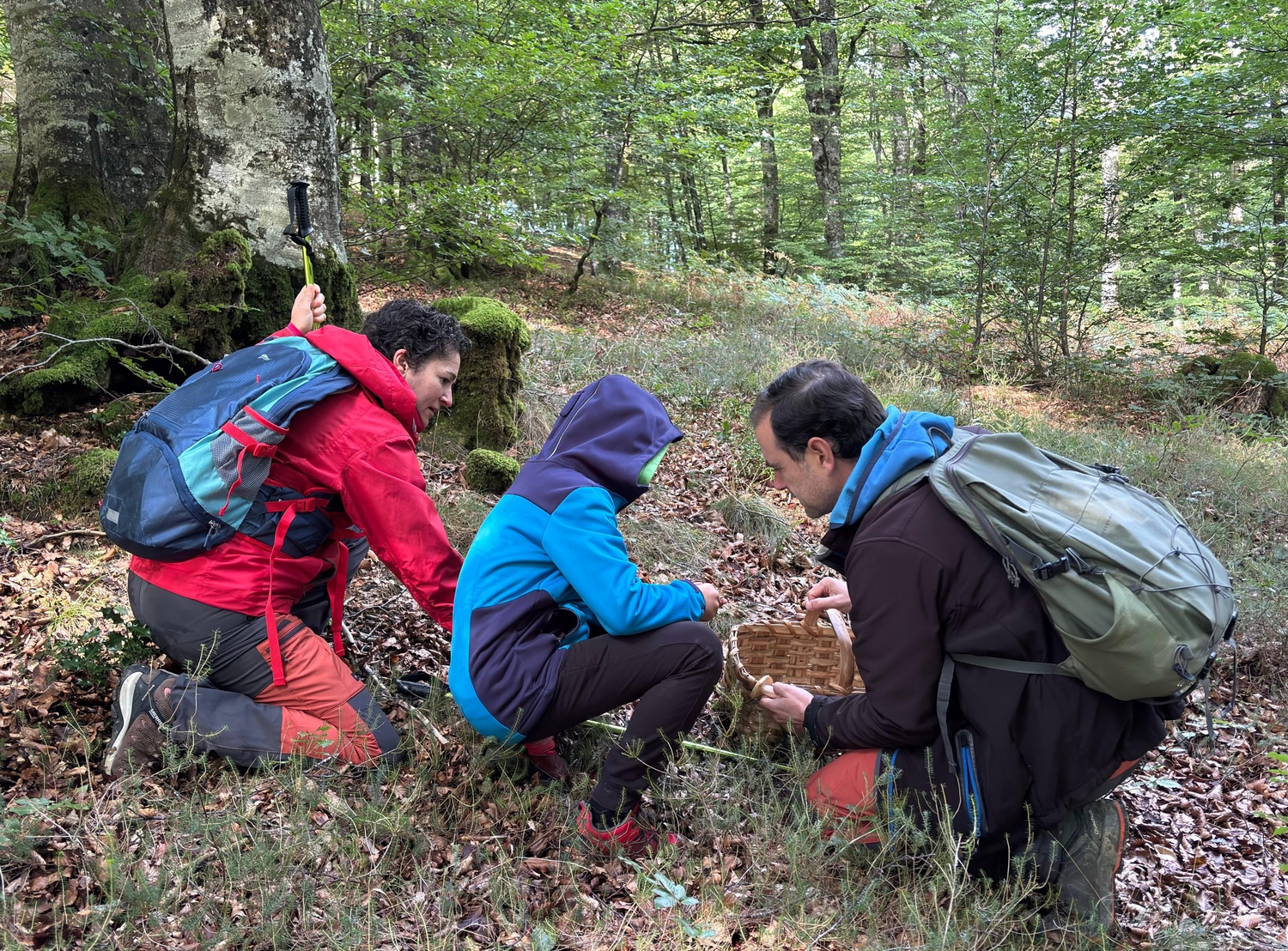 Participantes caminando por el bosque durante una salida micológica en Ultzama